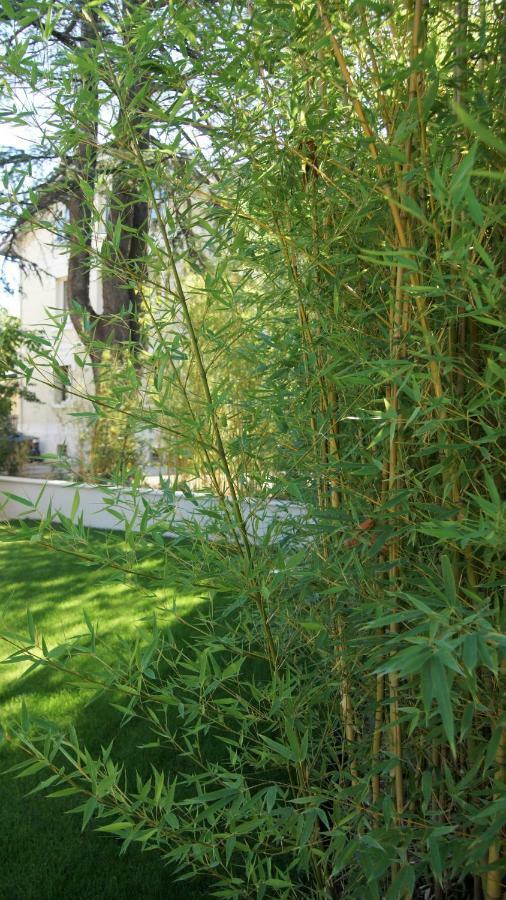 Hotel De Charme L'Oree Du Parc Romans-sur-Isère المظهر الخارجي الصورة